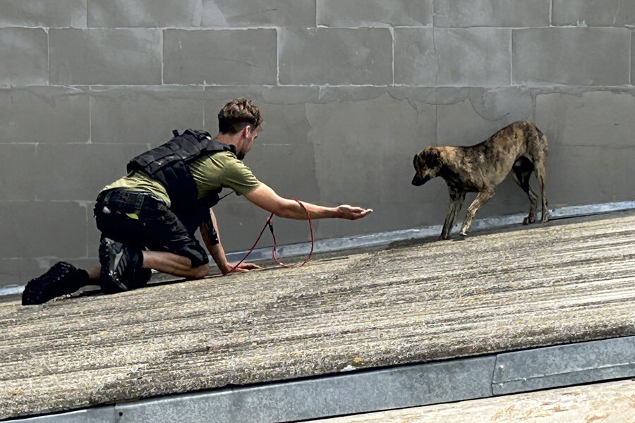 Yannick Bogge tries to lure a dog off a roof during the Kherson flood.